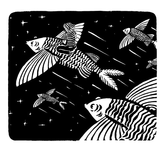 T-Shirt "Les Poissons Volant" en coton bio