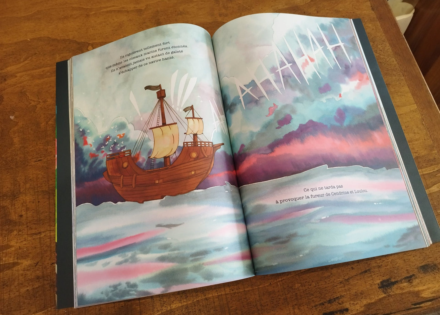 "Mimi La Pirate" Album jeunesse 92 pages