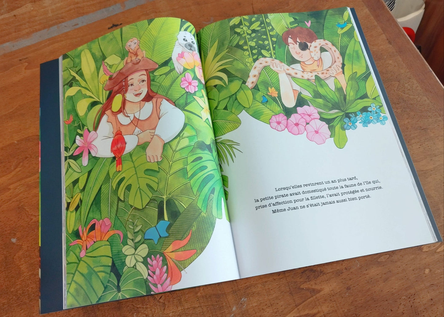 "Mimi La Pirate" Album jeunesse 92 pages