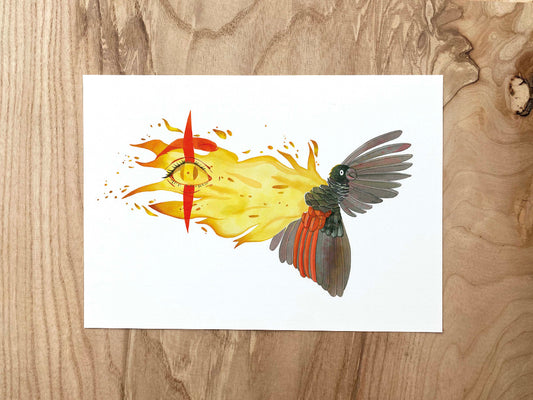 "Le Perroquet" Illustration