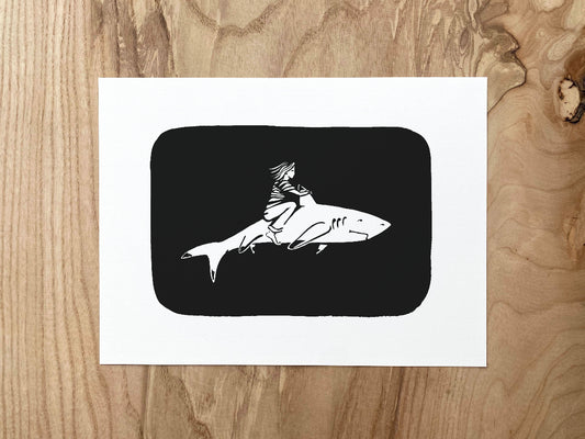 "Le Requin à pointe noire" Illustration