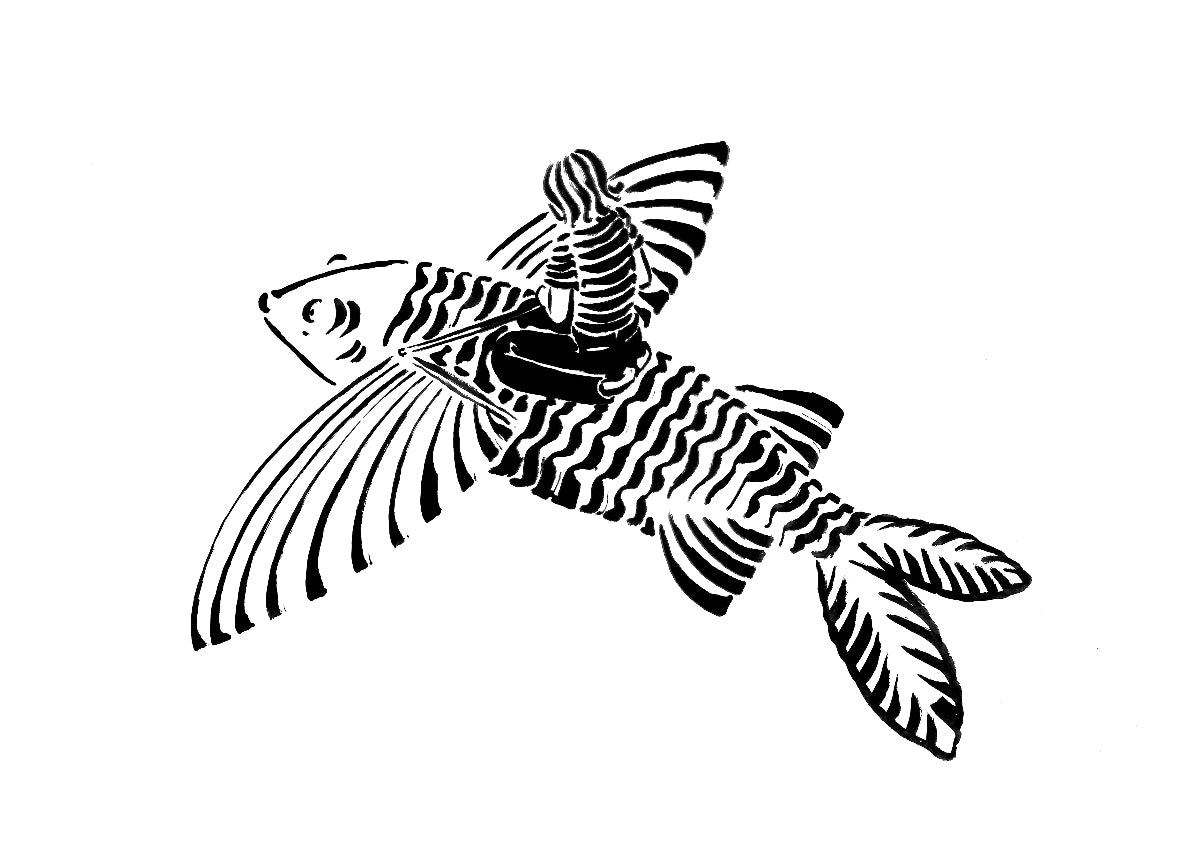 "Le poisson volant" Carte Postale