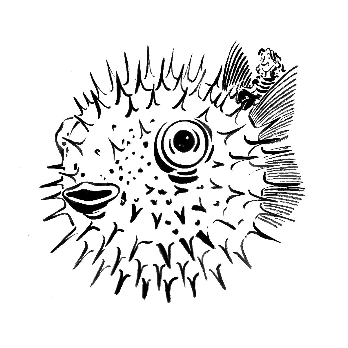 "La Paimpolette Voyage" Les dessins et illustrations