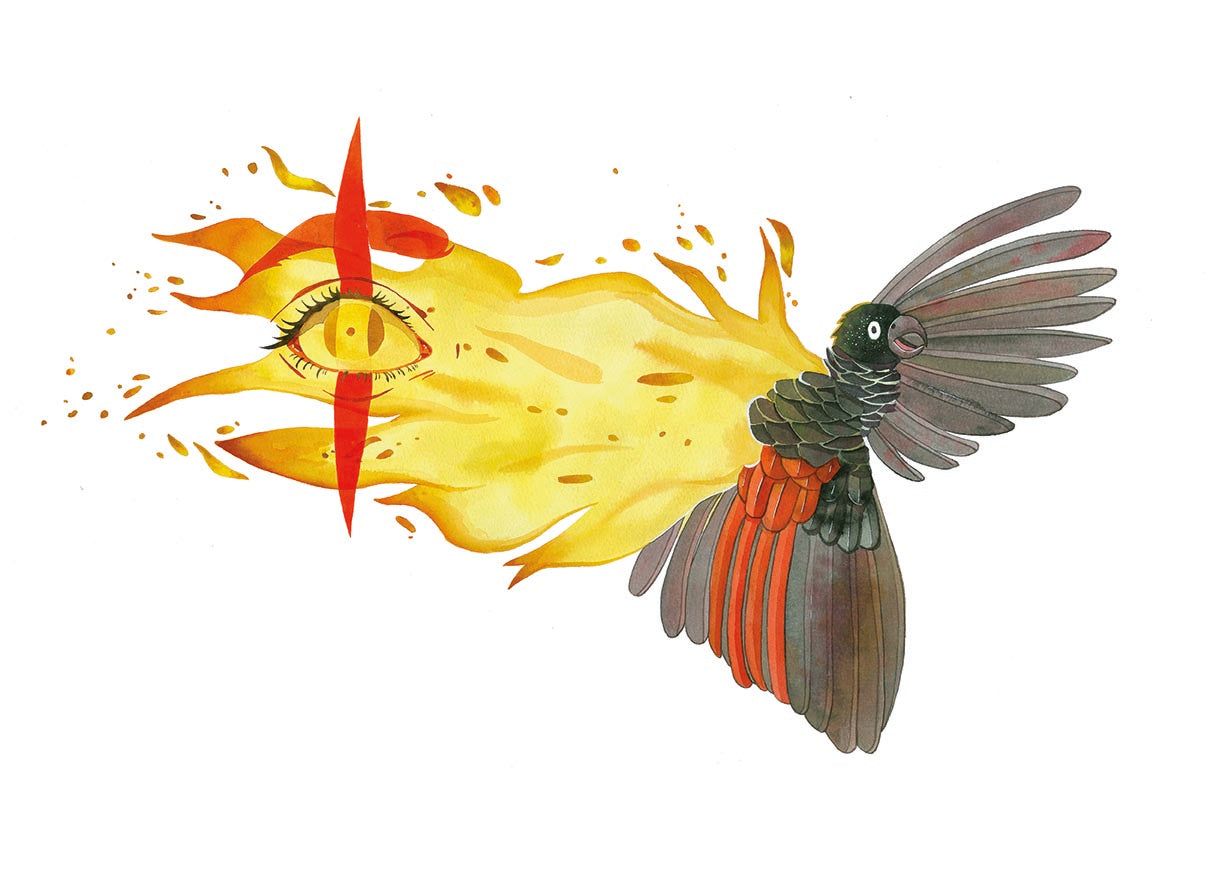 "Le Perroquet" Illustration