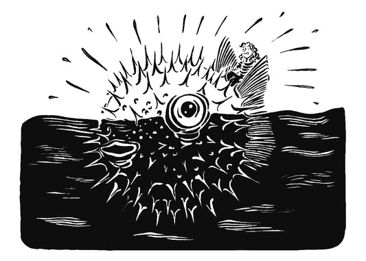 "Le Diodon" Illustration