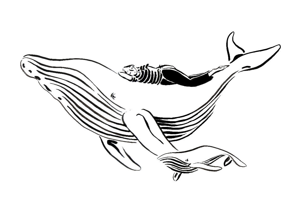 "La baleine et le baleineau"