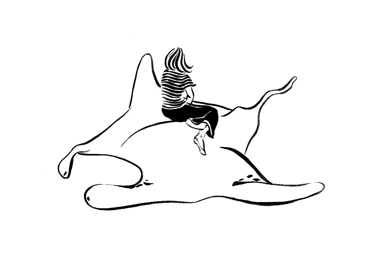 "La raie manta"